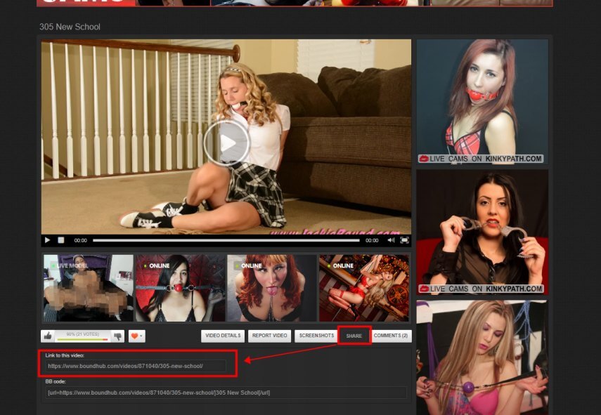copy the url of boundhub video