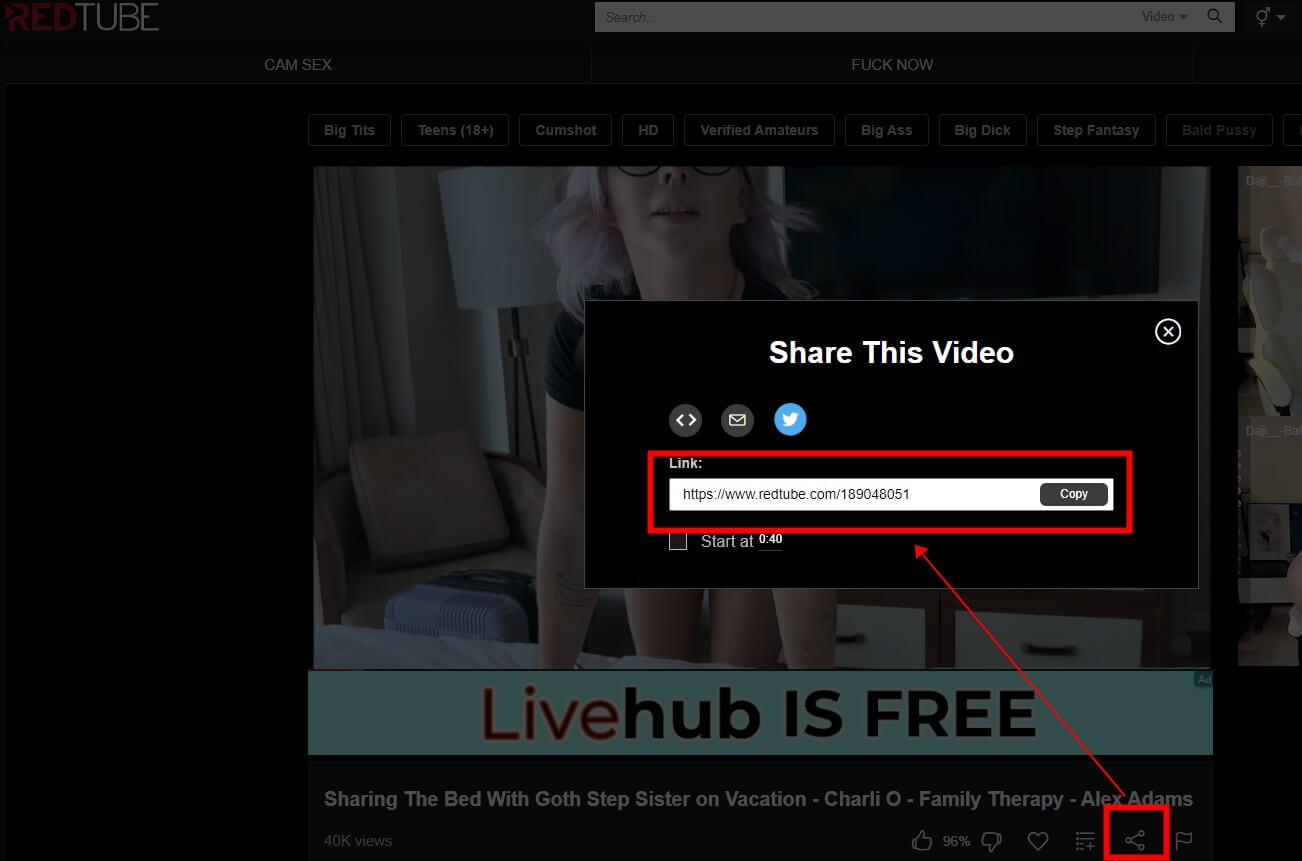 copy video url into redtube video downloader