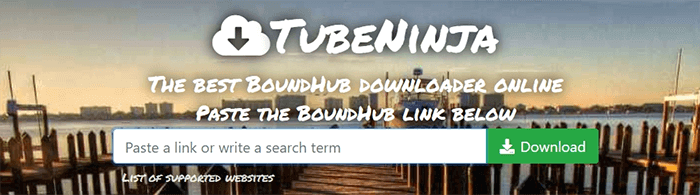 how to download videos from boundhub with online downloader