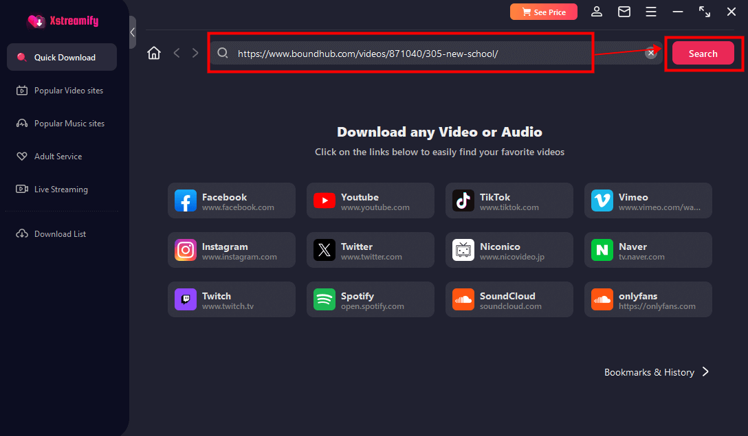 paste the url into xstreamify boundhub video downloader